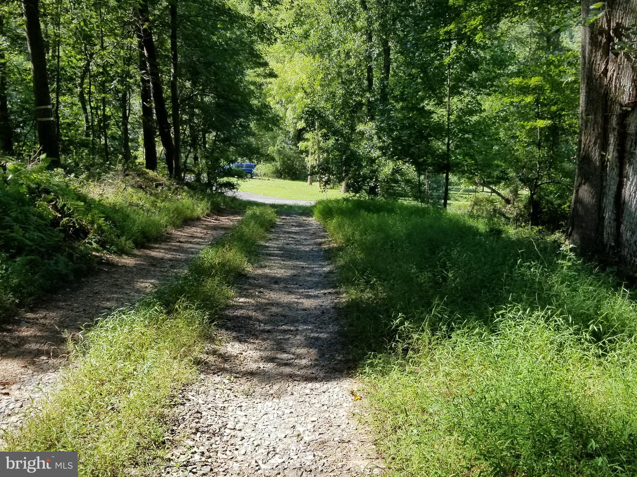 7736 Talbot Run Road Mount Airy, MD 21771 - Photo 3 of 10 Looking from top of lot to Exit