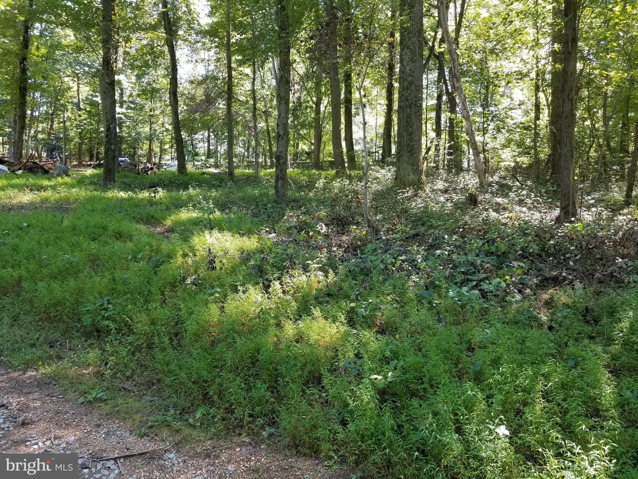 7736 Talbot Run Road Mount Airy, MD 21771 - Photo 6 of 10