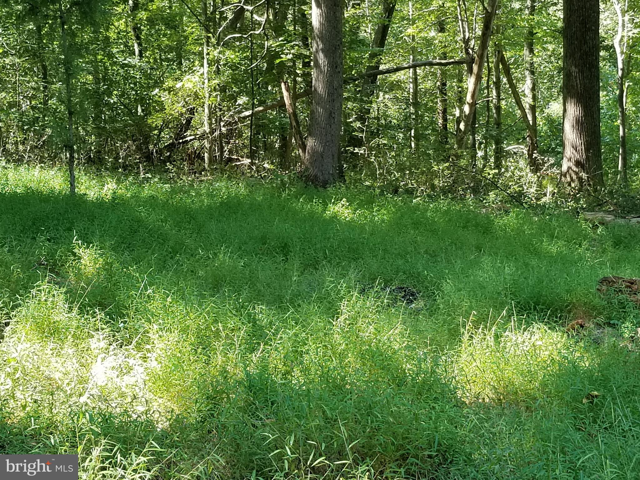 7736 Talbot Run Road Mount Airy, MD 21771 - Photo 7 of 10