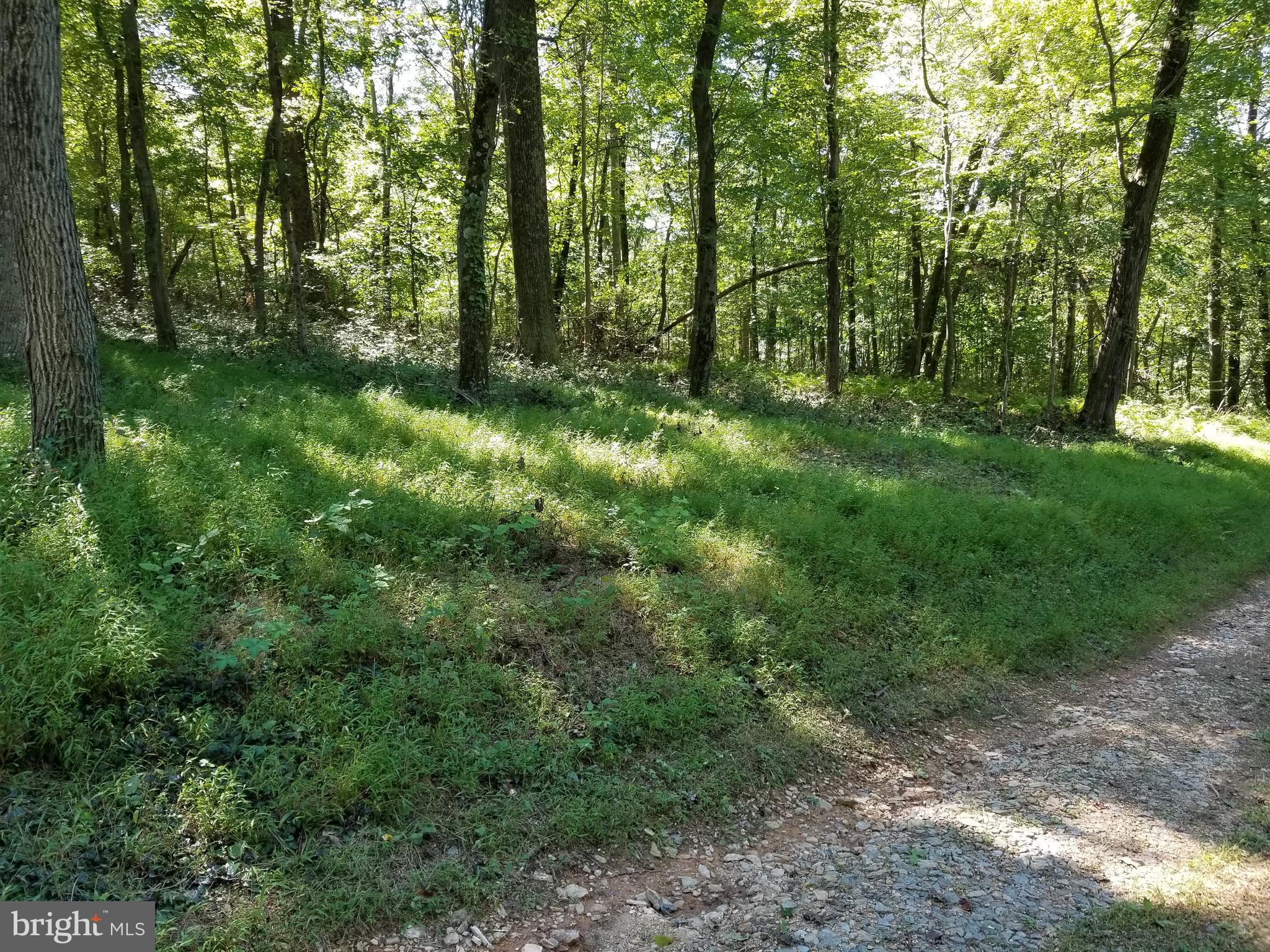7736 Talbot Run Road Mount Airy, MD 21771 - Photo 8 of 10 Very Private