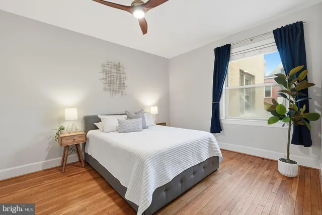 a bedroom with a bed lamp on desk and a potted plant