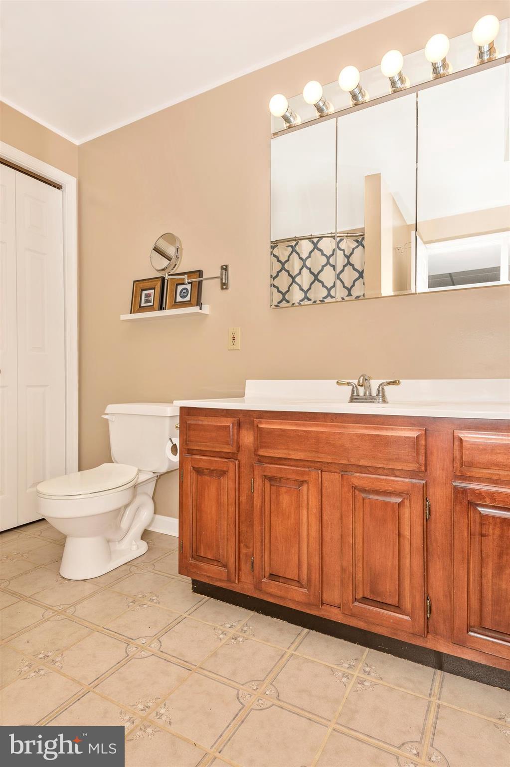 17322 Old Frederick Road Mount Airy, MD 21771 - Photo 22 of 30 Bright and spacious lower level bath