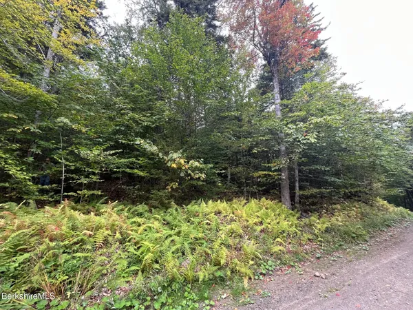 a view of a yard with plants and trees