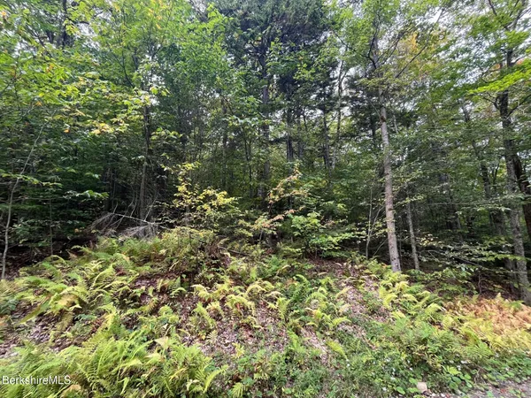 $30,000 | 0 Manley Phelps Road, Monroe, MA 01350