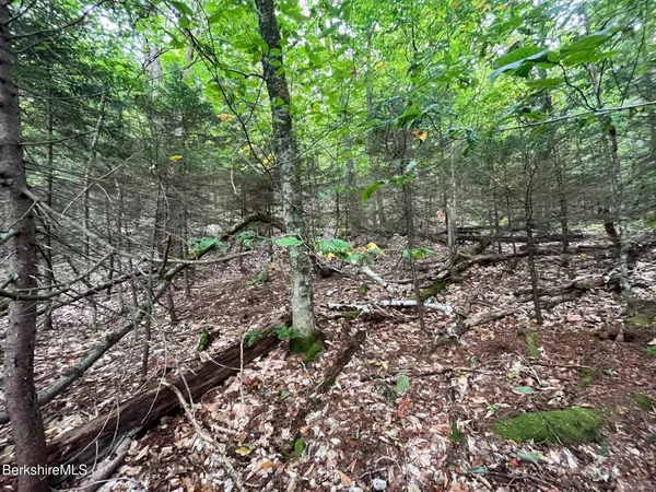 a view of a large yard with lots of green space