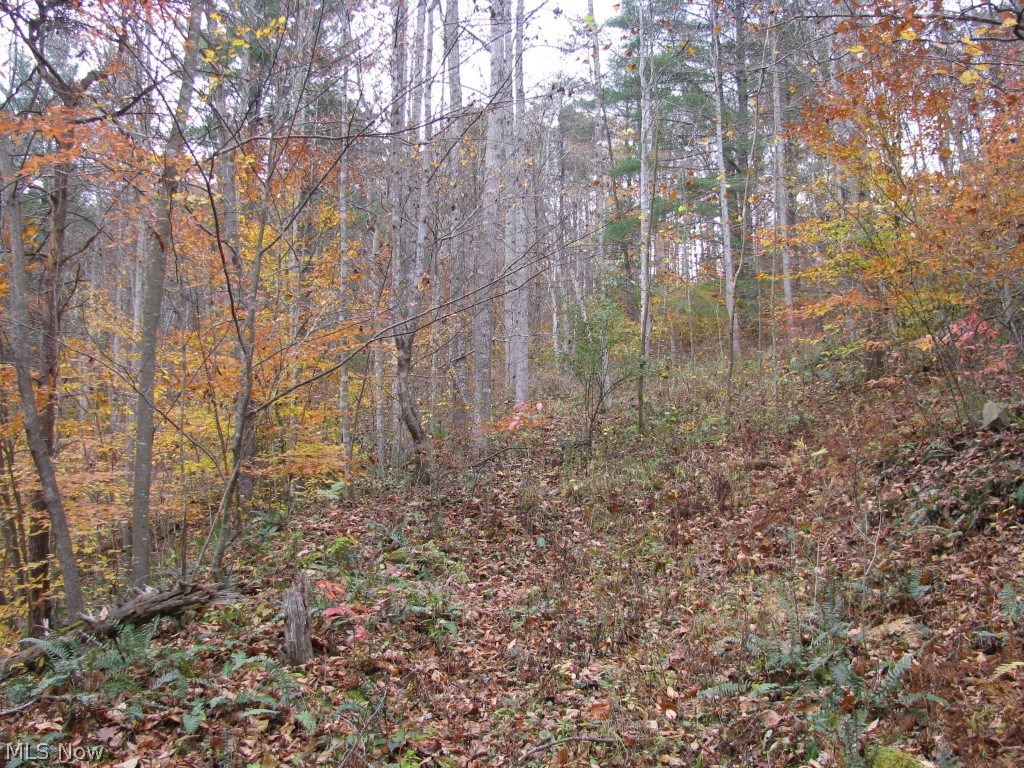 0 Bone Creek Road Berea, WV 26327 - Photo 19 of 21 Gallery Image 19