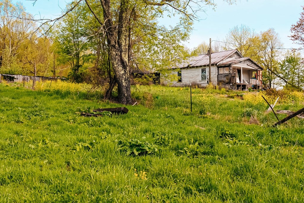 5864 Stinson Rdg Road Jewell Ridge, VA 24622 - Photo 4 of 8 Gallery Image 4