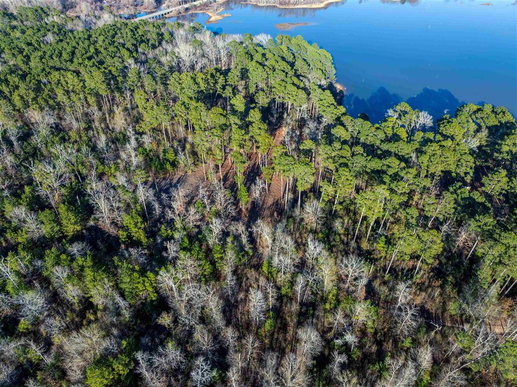 Lazy Point Trail Many, LA 71449 - Photo 9 of 20