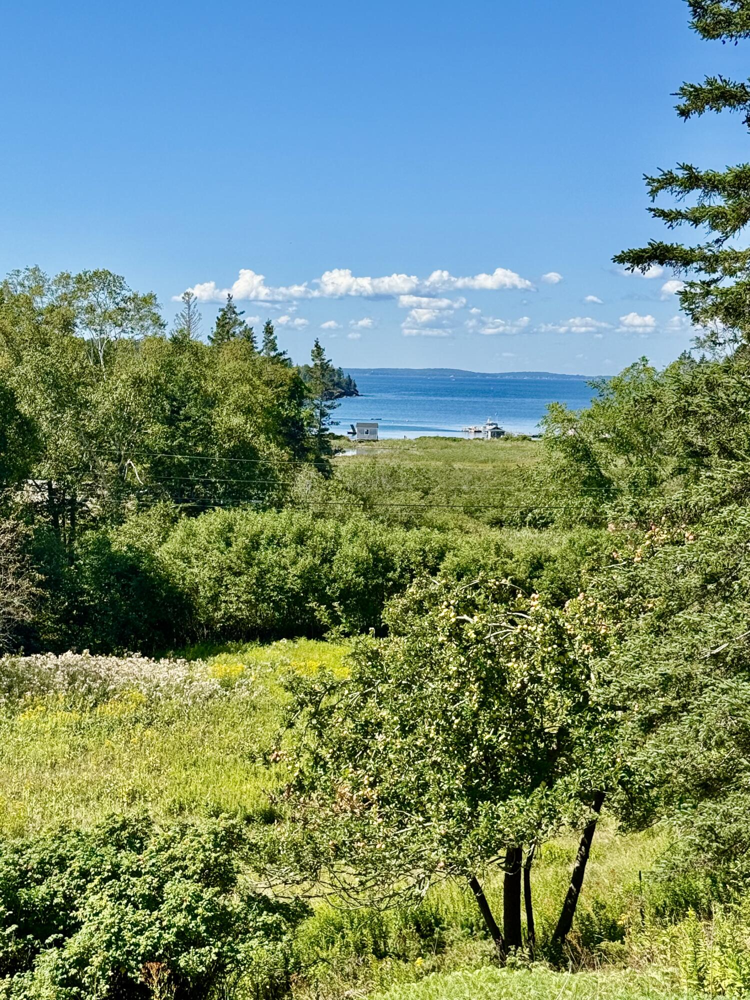 290 West District Road North Haven, ME 04853 - Photo 39 of 41 IMG_2767