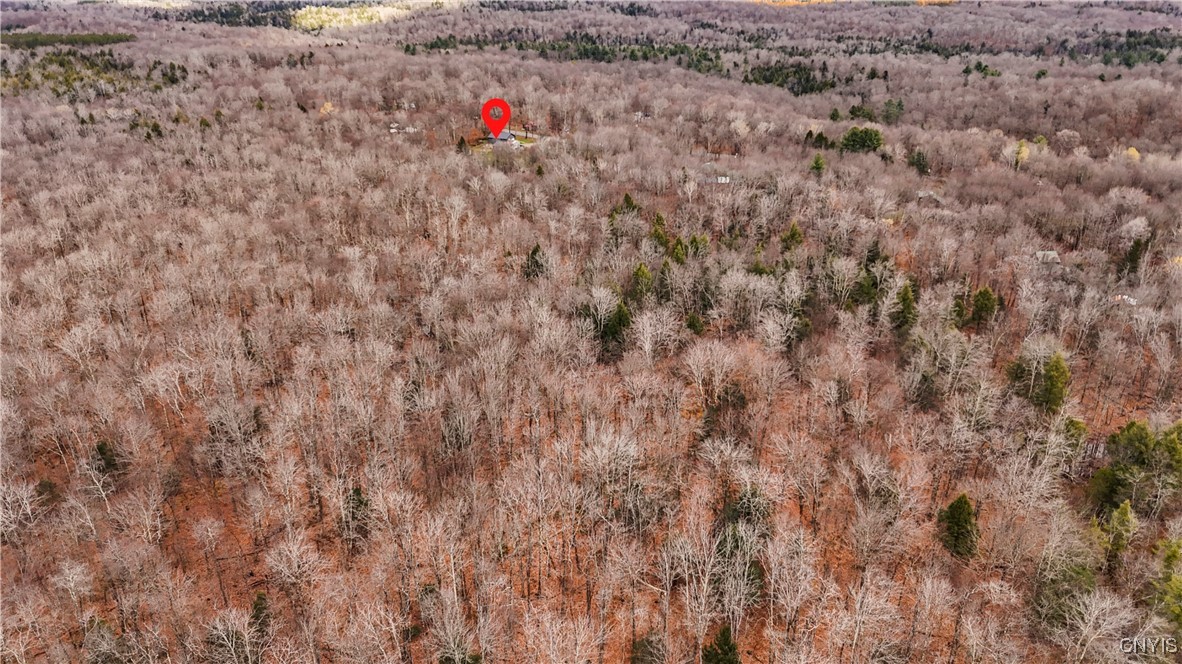 11695 Creek Road Annsville, NY 13471 - Photo 4 of 34 11.48 acres