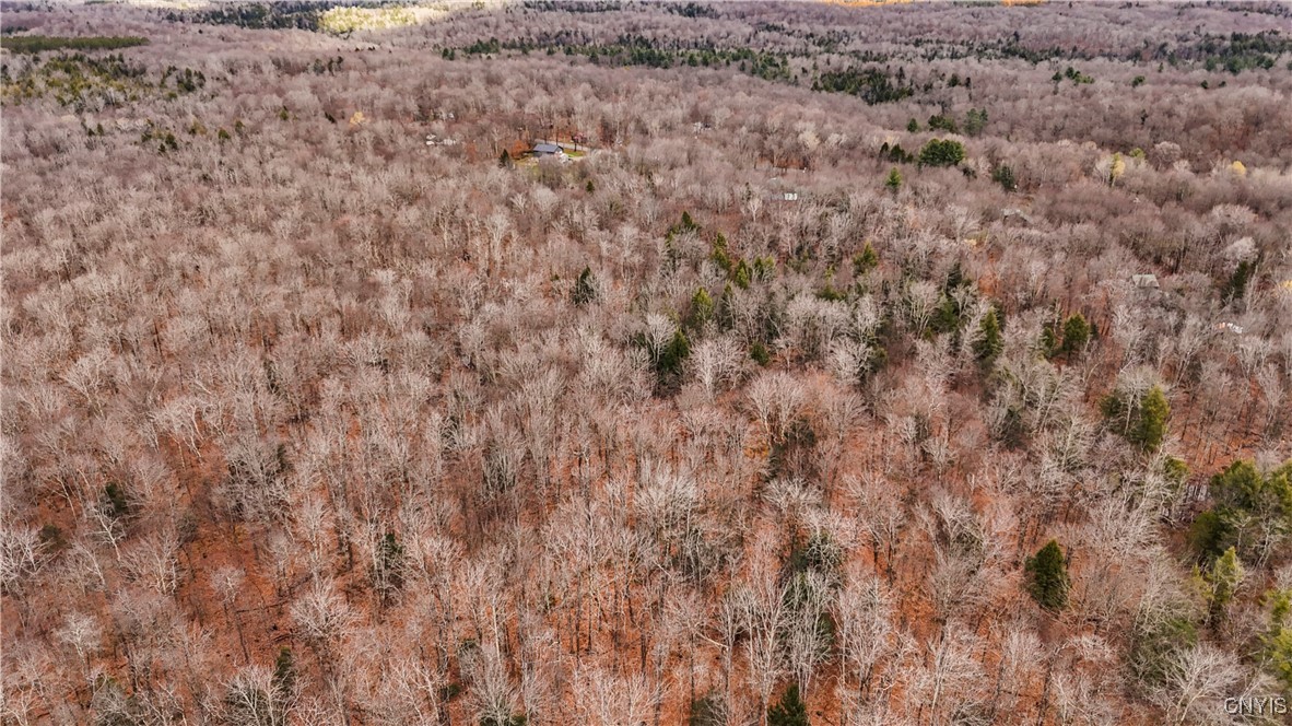 11695 Creek Road Annsville, NY 13471 - Photo 5 of 34 11.48 acres
