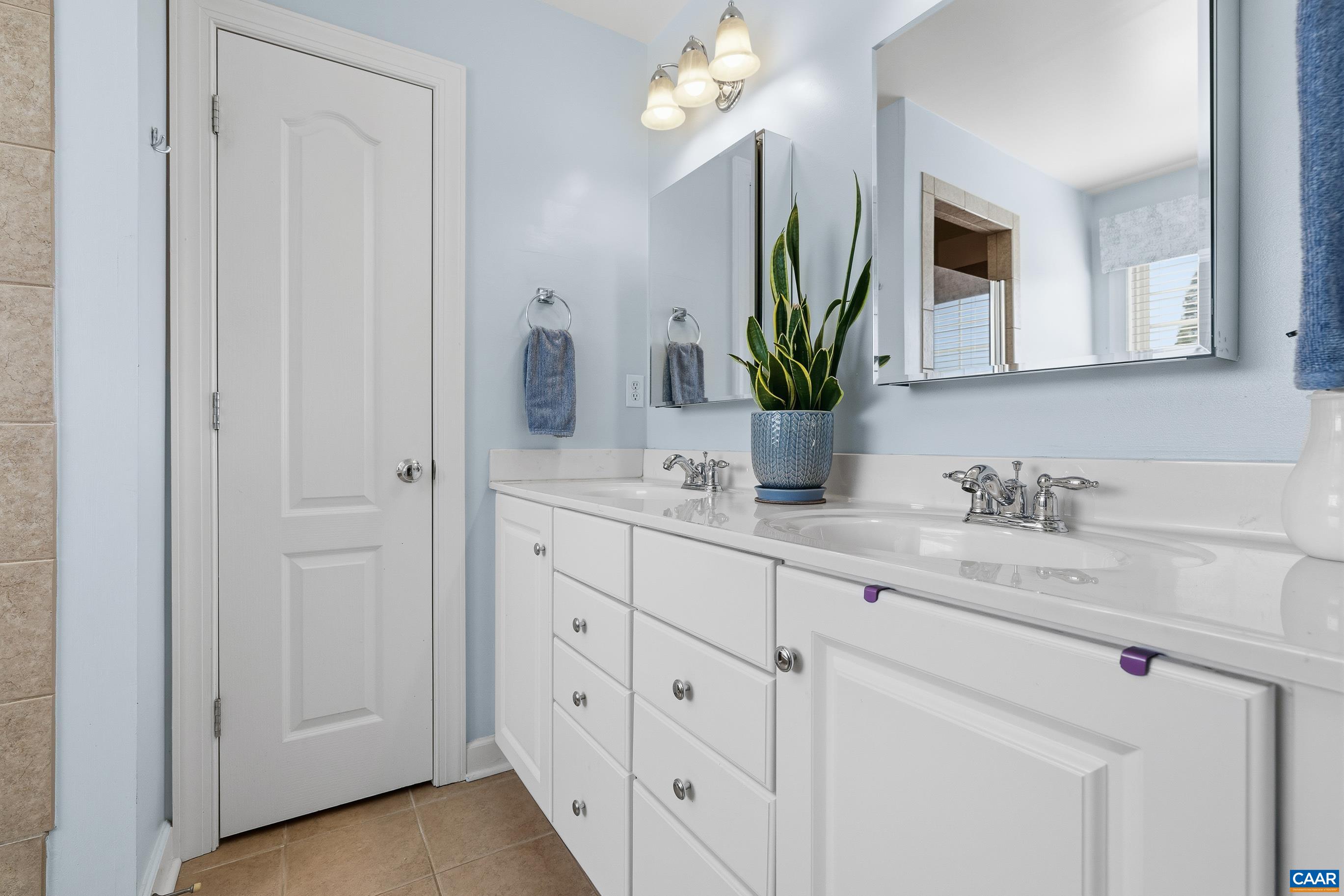 1230 Amber Ridge Road Charlottesville, VA 22901 - Photo 46 of 74 Primary Bath