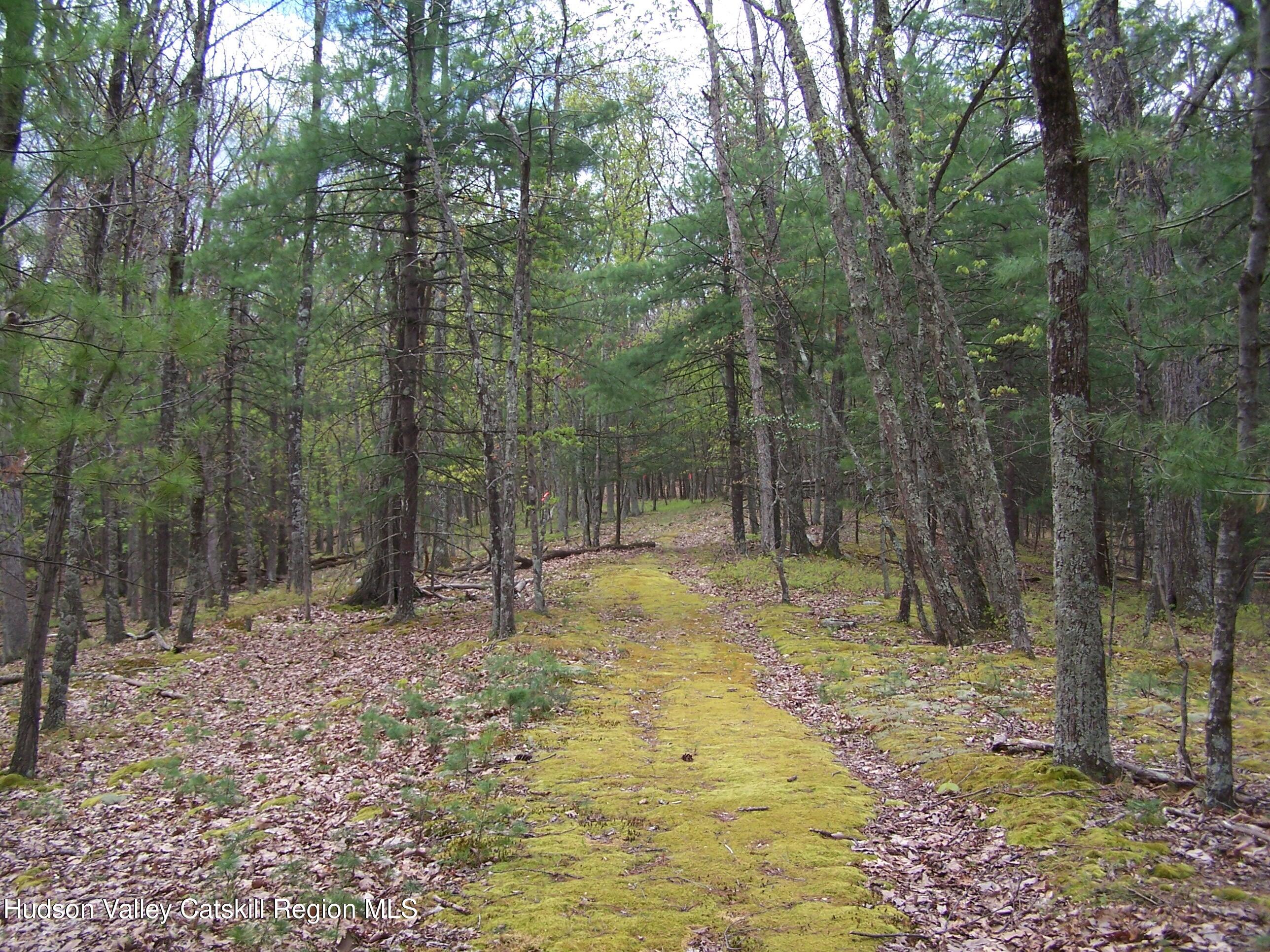 Tbd Heinle Road Kingston, NY 12401 - Photo 12 of 17 16' Wide ROW
