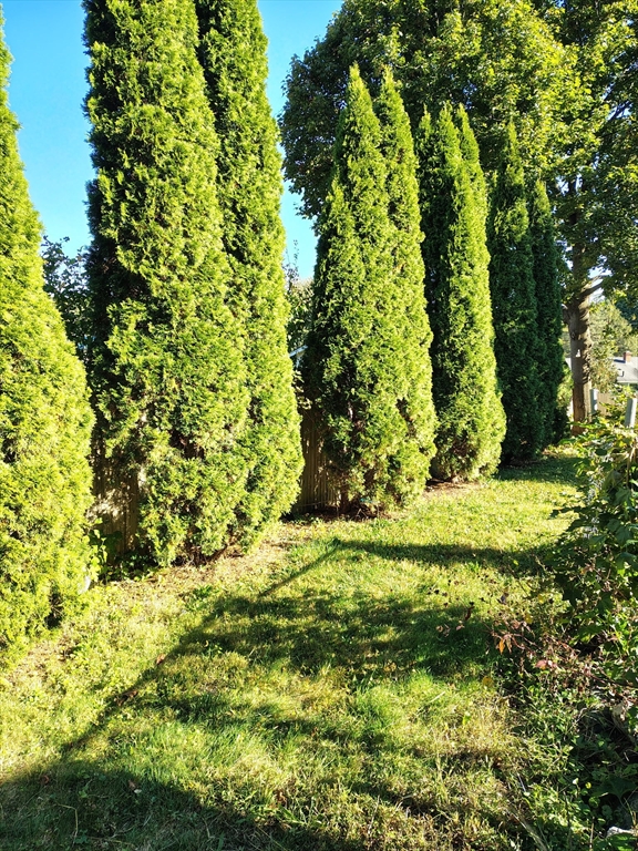 286 Westfield Road Holyoke, MA 01040 - Photo 2 of 26 a view of a garden