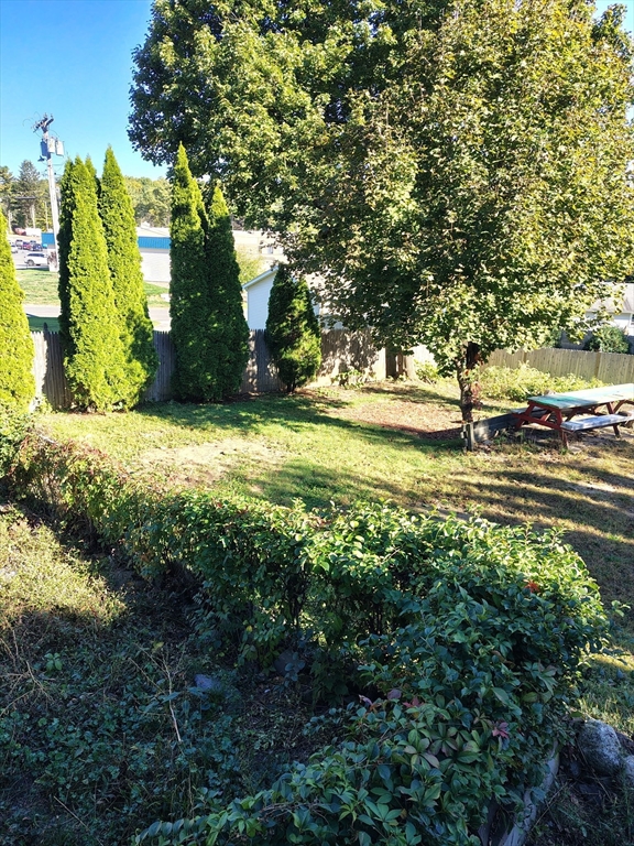 286 Westfield Road Holyoke, MA 01040 - Photo 3 of 26 a view of a yard with plants and large trees