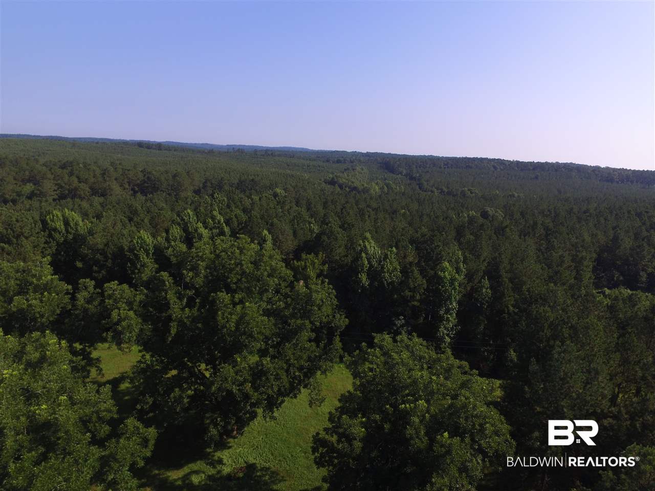 744 Fox Trot Road Grove Hill, AL 36451 - Photo 39 of 46