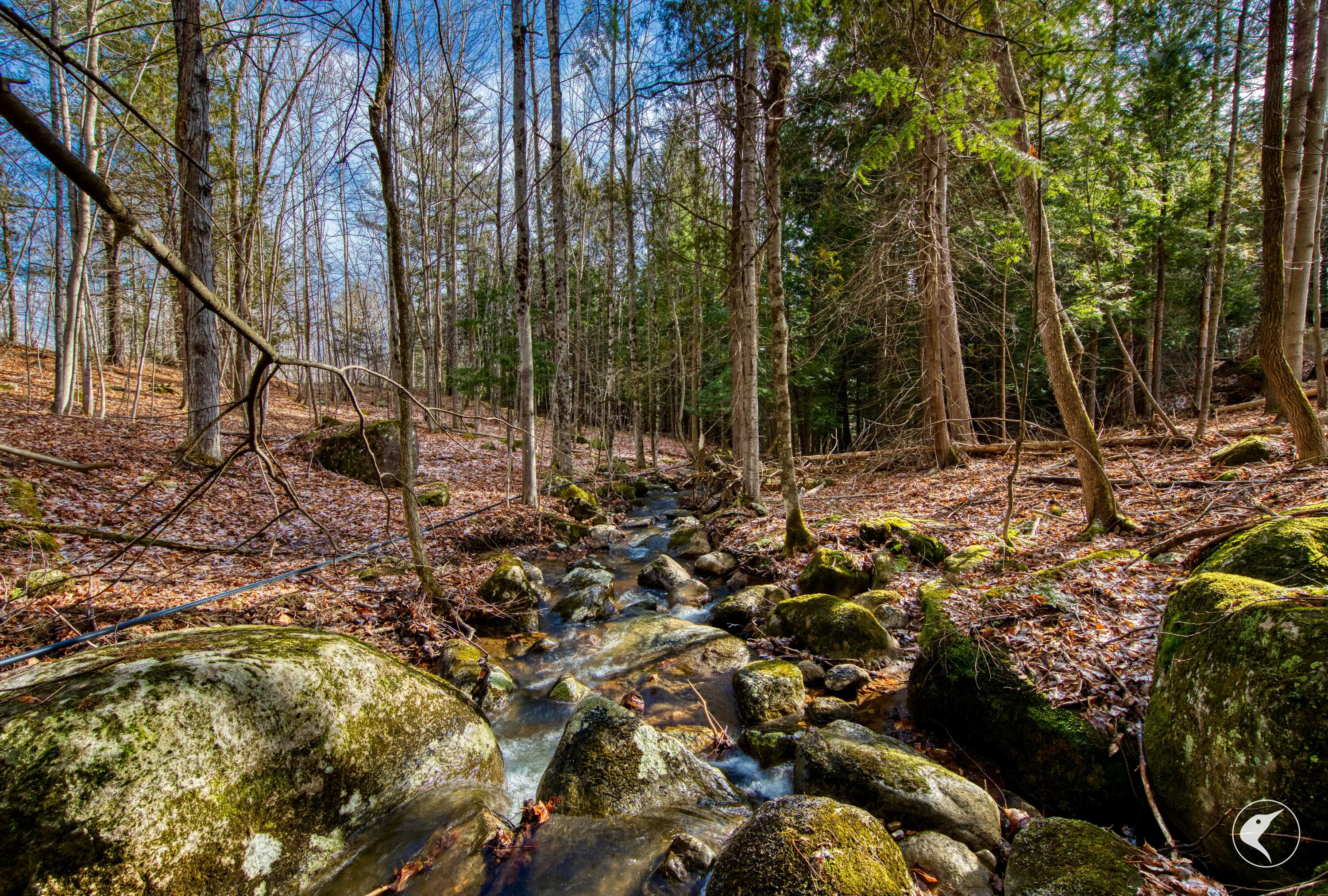 209 Alstead Hill Road Keene, NY 12942 - Photo 25 of 41 Gallery Image 25
