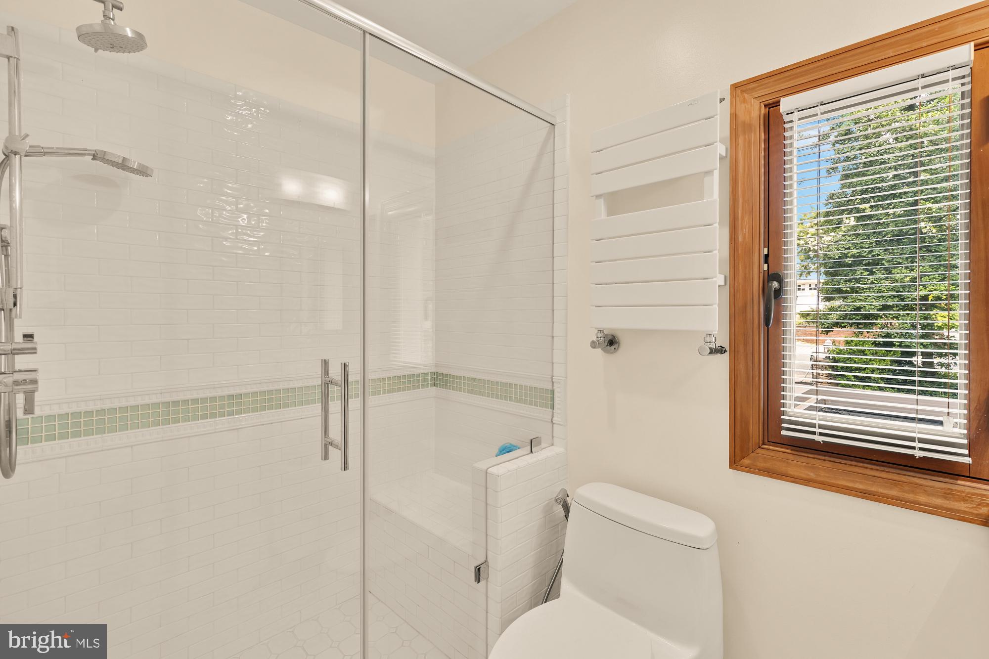 3111 Chain Bridge Road Northwest Washington, DC 20016 - Photo 48 of 71 a bathroom with a shower and a toilet