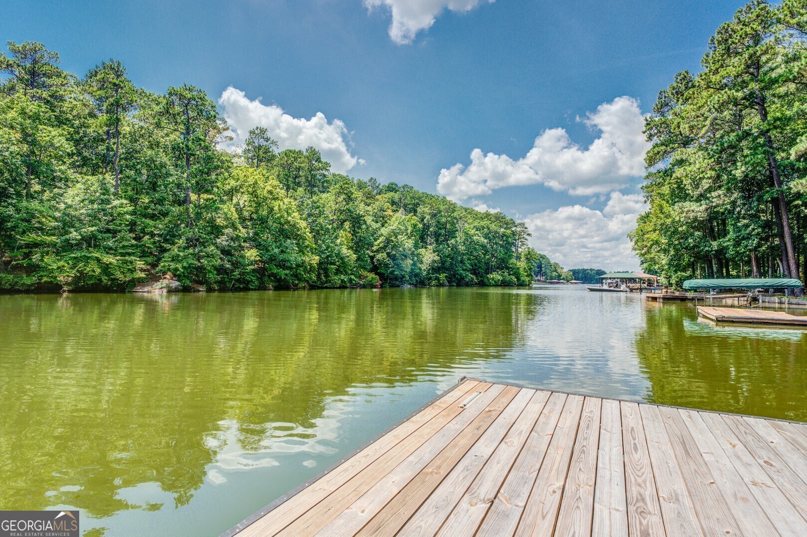 2601 Turtle Cove Monticello, GA 31064 - Photo 58 of 85