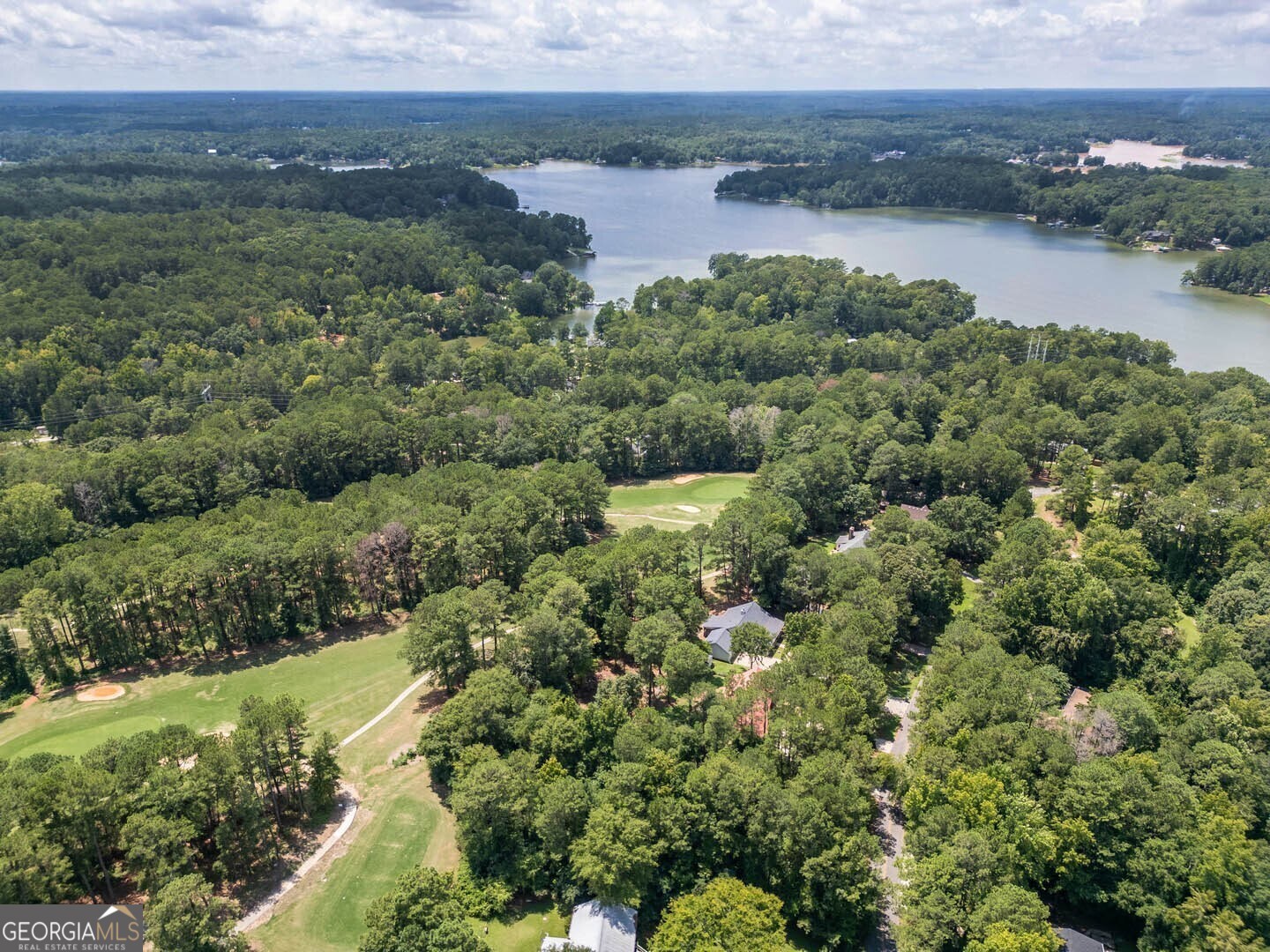 2601 Turtle Cove Monticello, GA 31064 - Photo 78 of 85 an aerial view of a houses with outdoor space