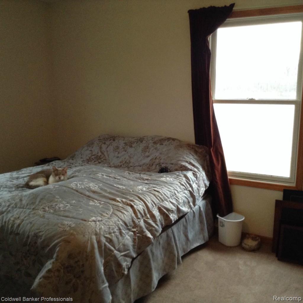 4359 Jones Road North Branch, MI 48461 - Photo 15 of 30 Master Bedroom