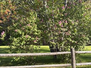 27 Oak Point Road Harrington, ME 04643 - Photo 25 of 28 IMG_4295