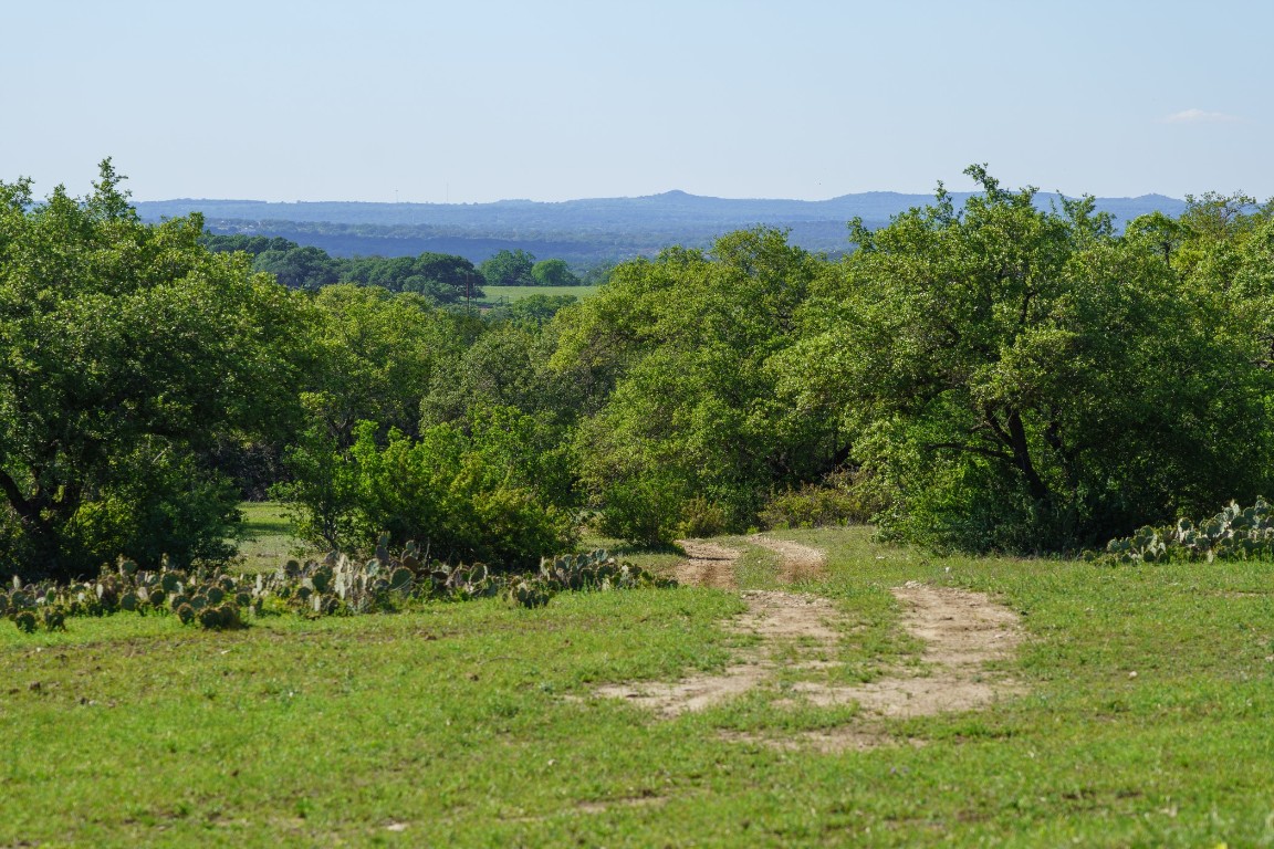 892 Baird Ranch Road Johnson City, TX 78636 - Photo 15 of 22 Property view of Hills and trees