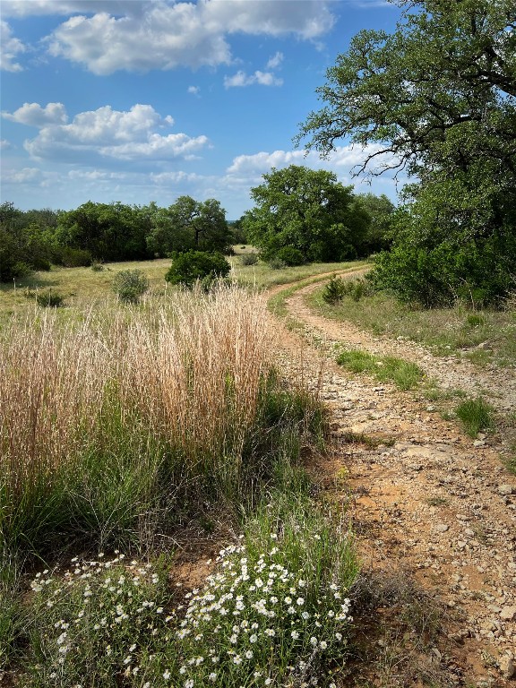 892 Baird Ranch Road Johnson City, TX 78636 - Photo 16 of 22 View of road