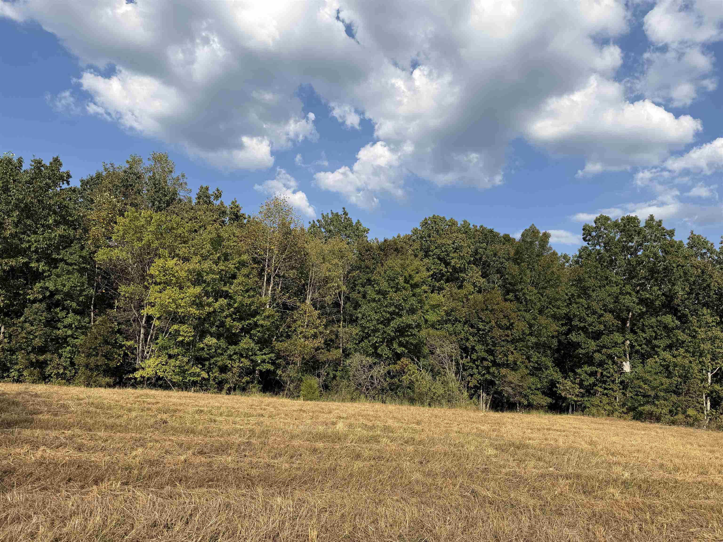 1960 Low Gap Road Sugar Tree, TN 38380 - Photo 11 of 35 Gallery Image 11