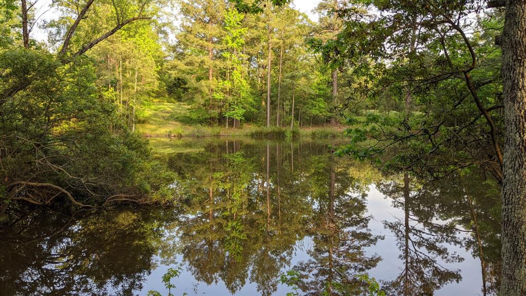 113 Breezy Road Gibsland, LA 71028 - Photo 29 of 30