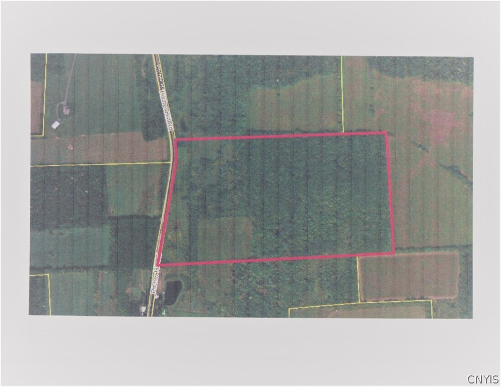 Lot B Pitcher Hill Road Pitcher, NY 13136 - Photo 29 of 29 Gallery Image 29