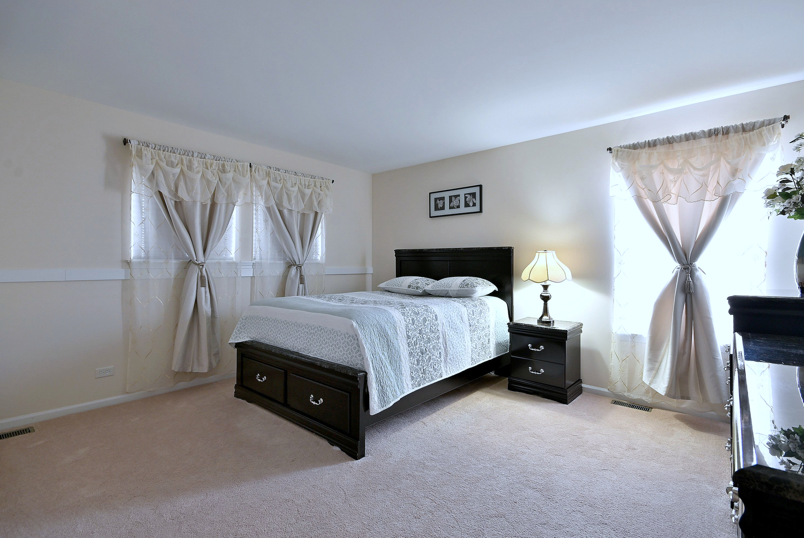 230 Stickley Lane Lake In The Hills, IL 60156 - Photo 33 of 52 a spacious bedroom with a bed and a flat screen tv