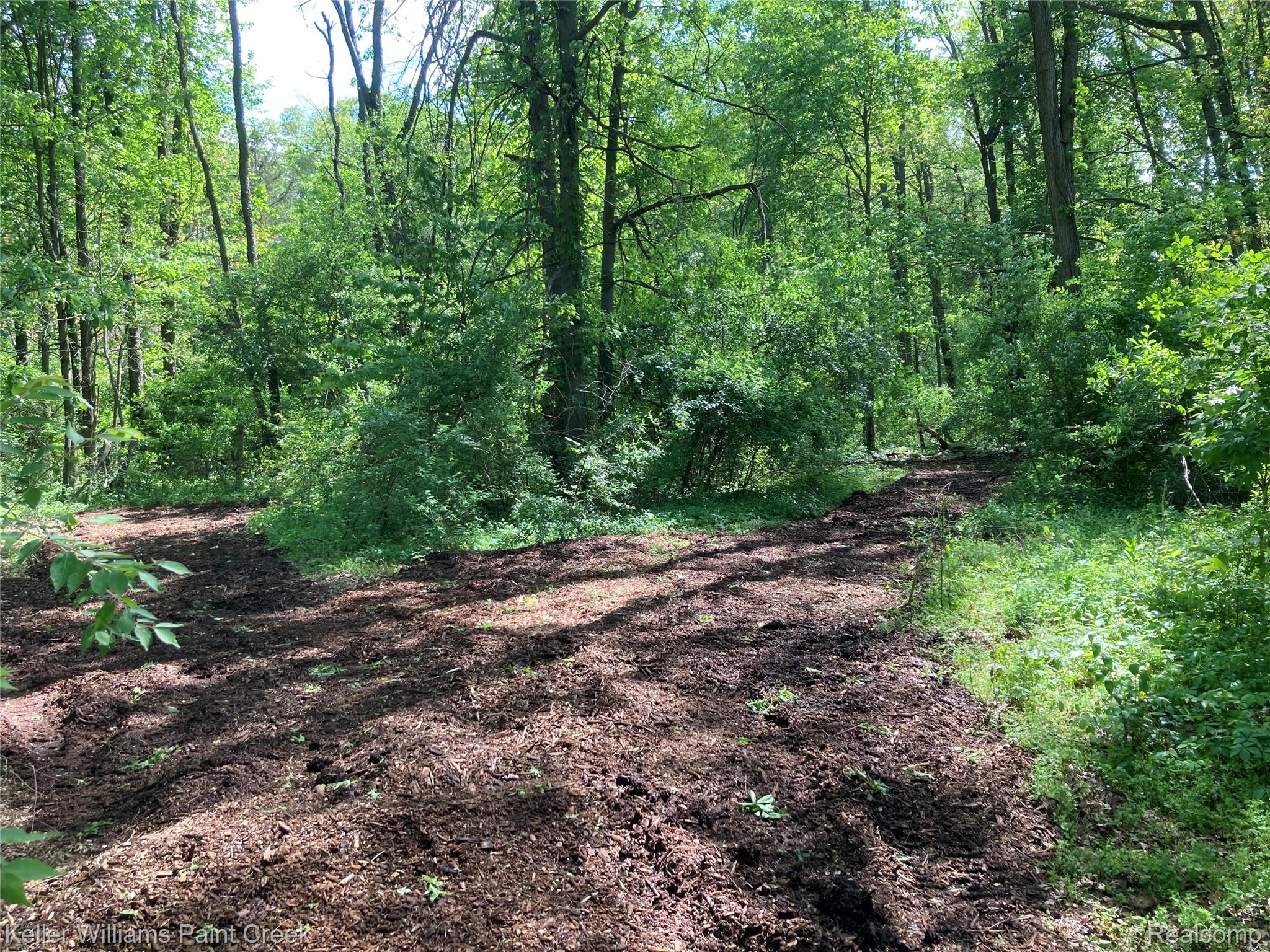 42891 Bemis Road Belleville, MI 48111 - Photo 38 of 51 Trails