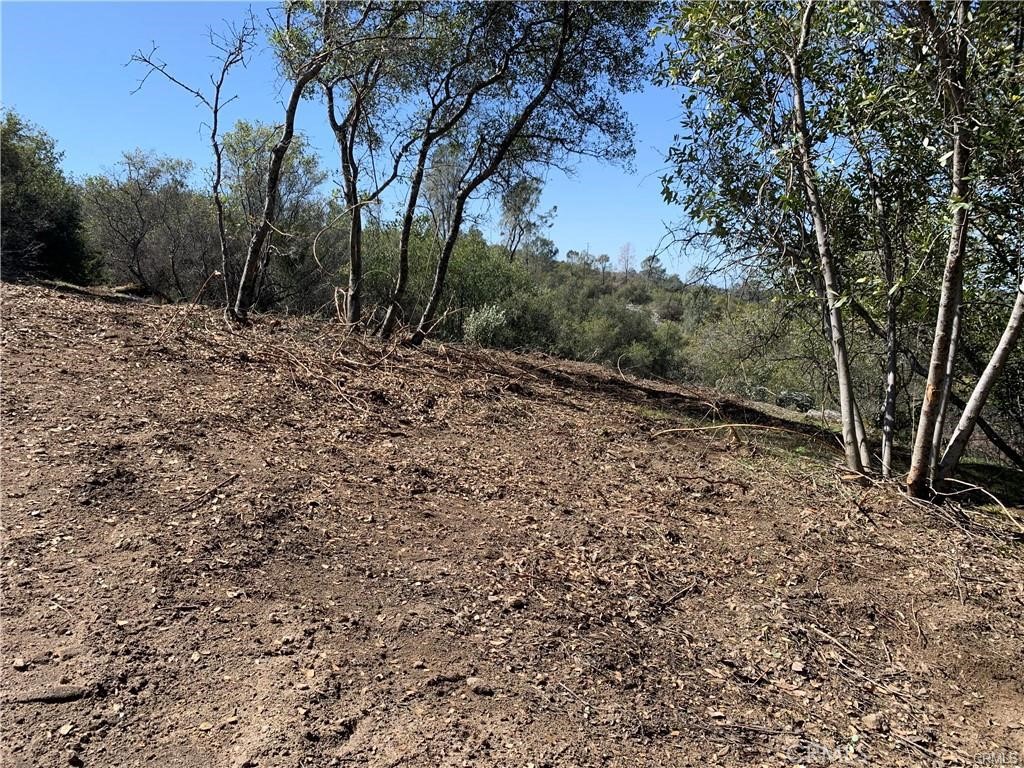 1234 Quartz Mountain Road Coarsegold, CA 93614 - Photo 2 of 10 a big yard with lots of green space