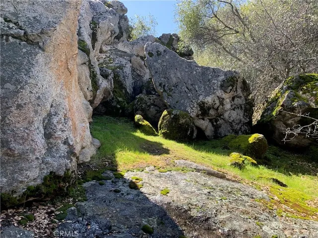 a view of a park with large trees