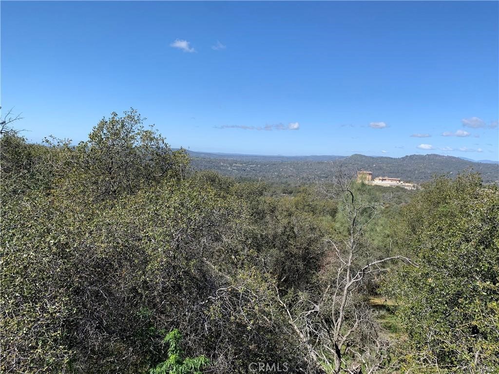 1234 Quartz Mountain Road Coarsegold, CA 93614 - Photo 7 of 10 a view of a city with lush green forest