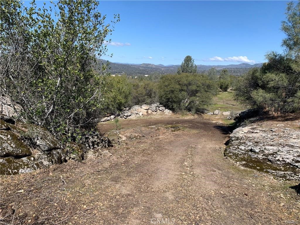 1234 Quartz Mountain Road Coarsegold, CA 93614 - Photo 9 of 10 a view of a road with a yard