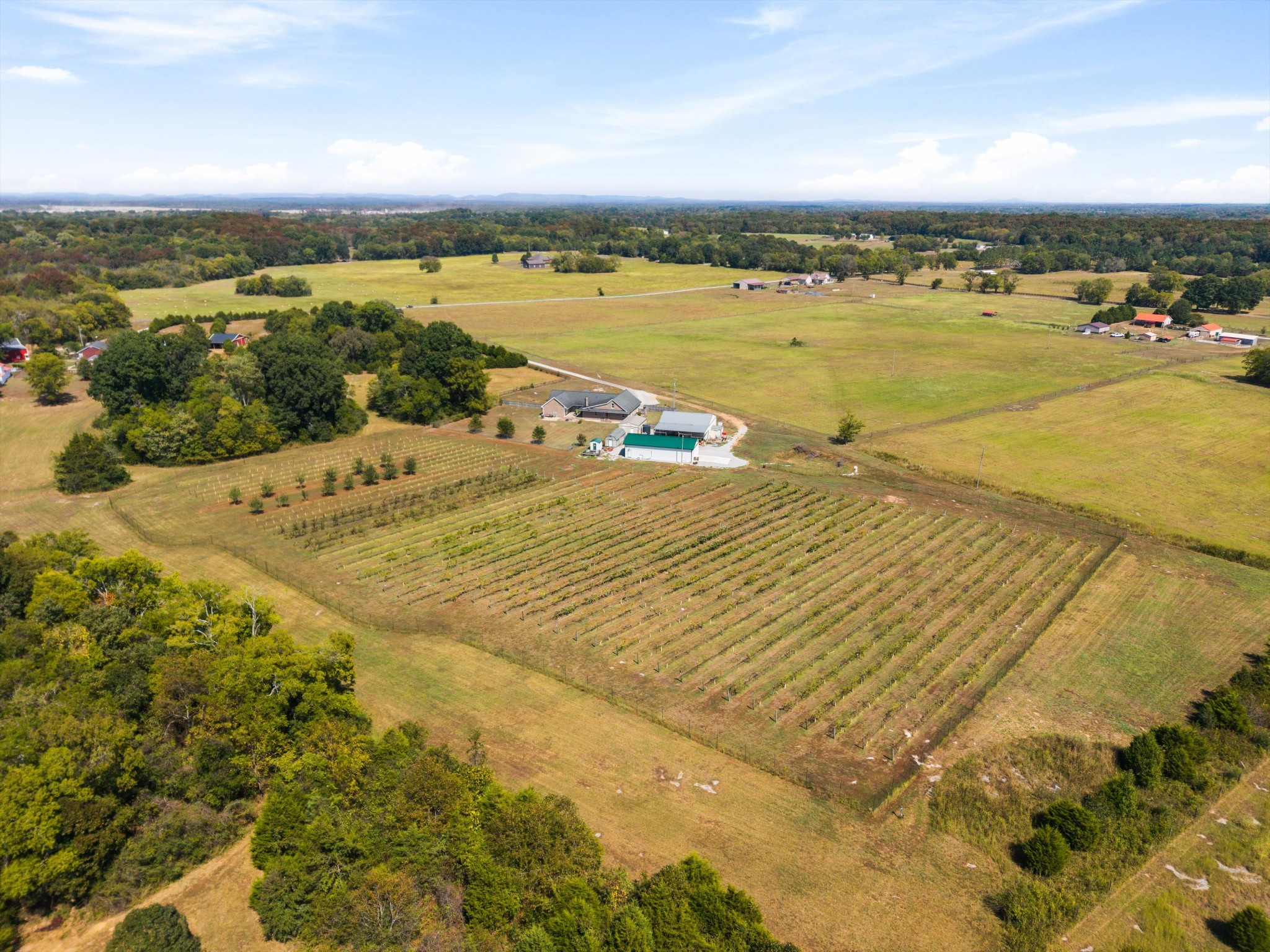 3595 Clark Road Lewisburg, TN 37091 - Photo 64 of 88 Gallery Image 64