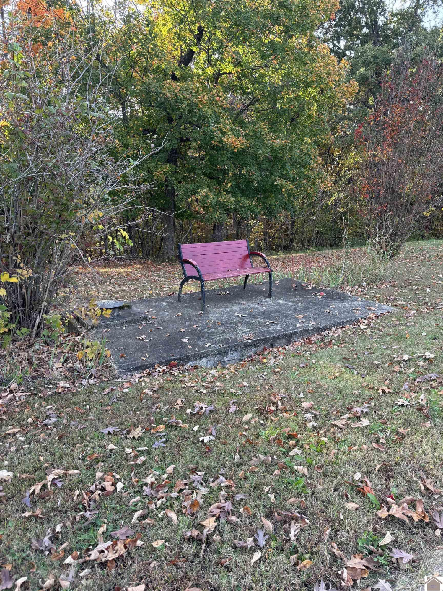 254 A H Clements Road Marion, KY 42064 - Photo 29 of 31 One of Two Deer and Turkey Viewing Benches