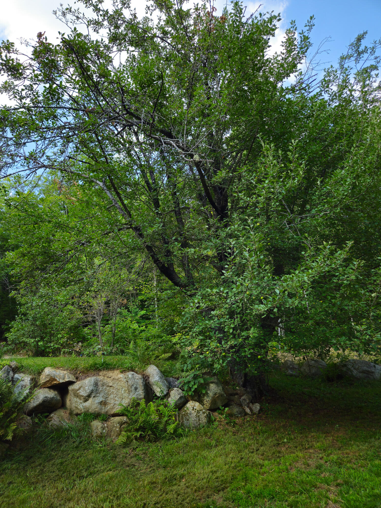 166 Lamb Road Carthage, ME 04224 - Photo 81 of 84 67