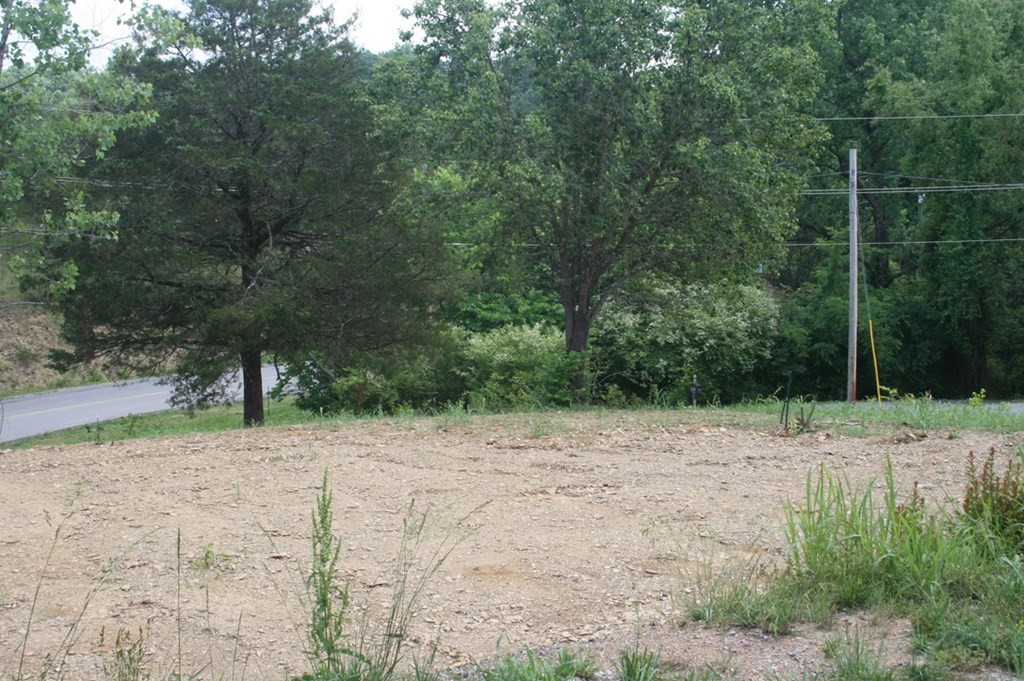 1566 Parrotts Chapel Road Sevierville, TN 37876 - Photo 10 of 32 Gallery Image 10