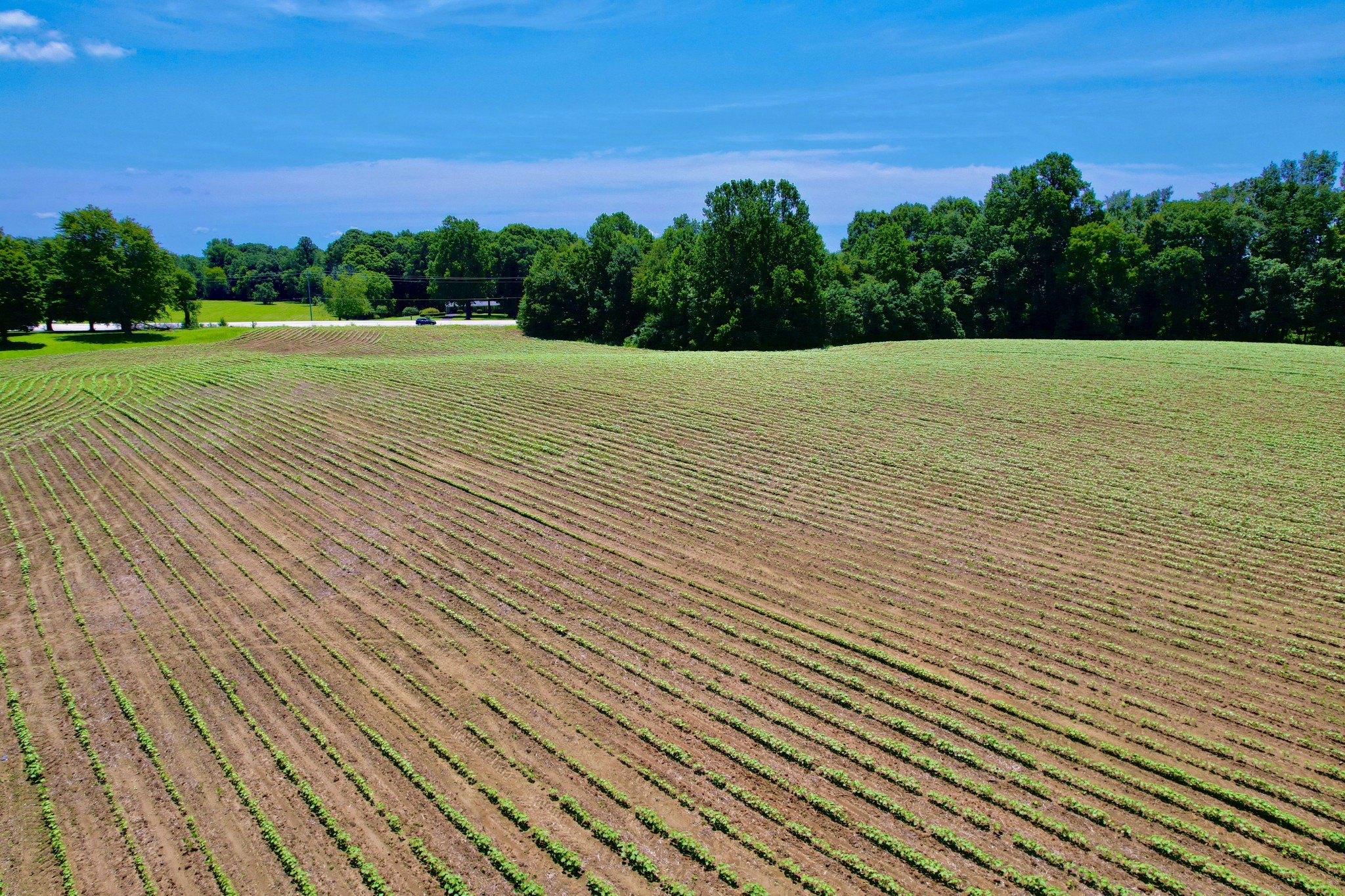 20 Lambs Ferry Road Leoma, TN 38468 - Photo 10 of 12