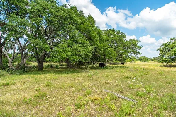$265,000 | 21882 Fm 2093, Harper, TX 78631