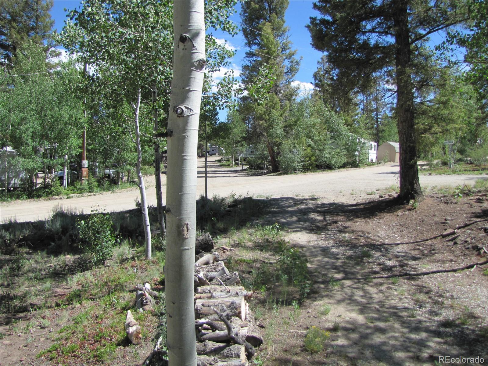 1524 Narrow Gauge Road Fairplay, CO 80440 - Photo 4 of 22