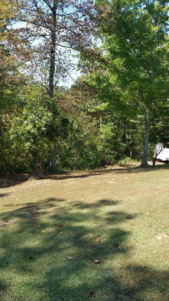 740 Dixie Bend Road Burnside, KY 42519 - Photo 23 of 31 Additional Photo