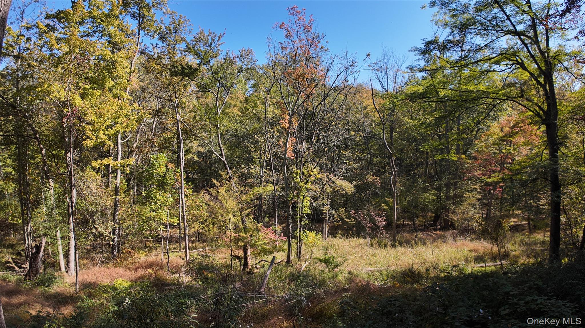 96 Old Pascack Road Pearl River, NY 10965 - Photo 38 of 41 a view of a yard
