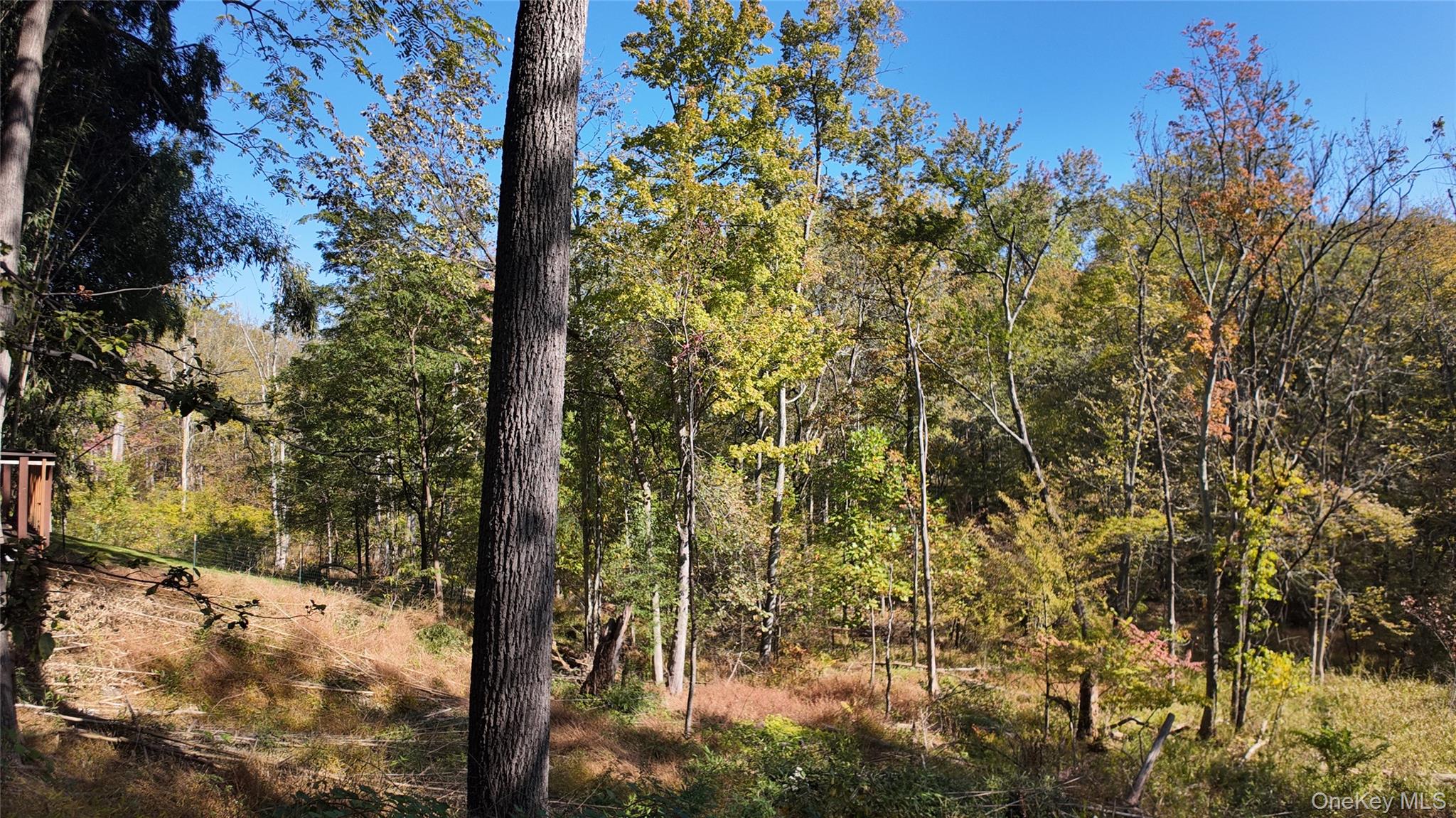 96 Old Pascack Road Pearl River, NY 10965 - Photo 40 of 41 a view of a yard with trees