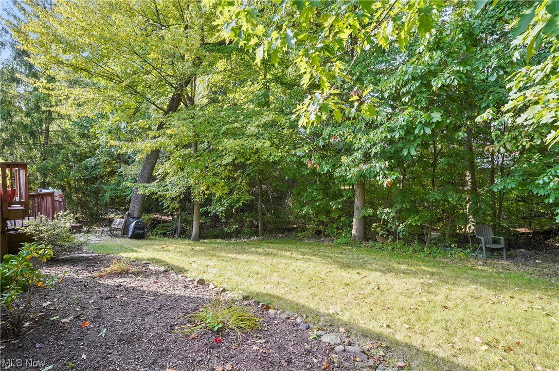 693 Timbercreek Road Northfield, OH 44067 - Photo 25 of 34 View of yard