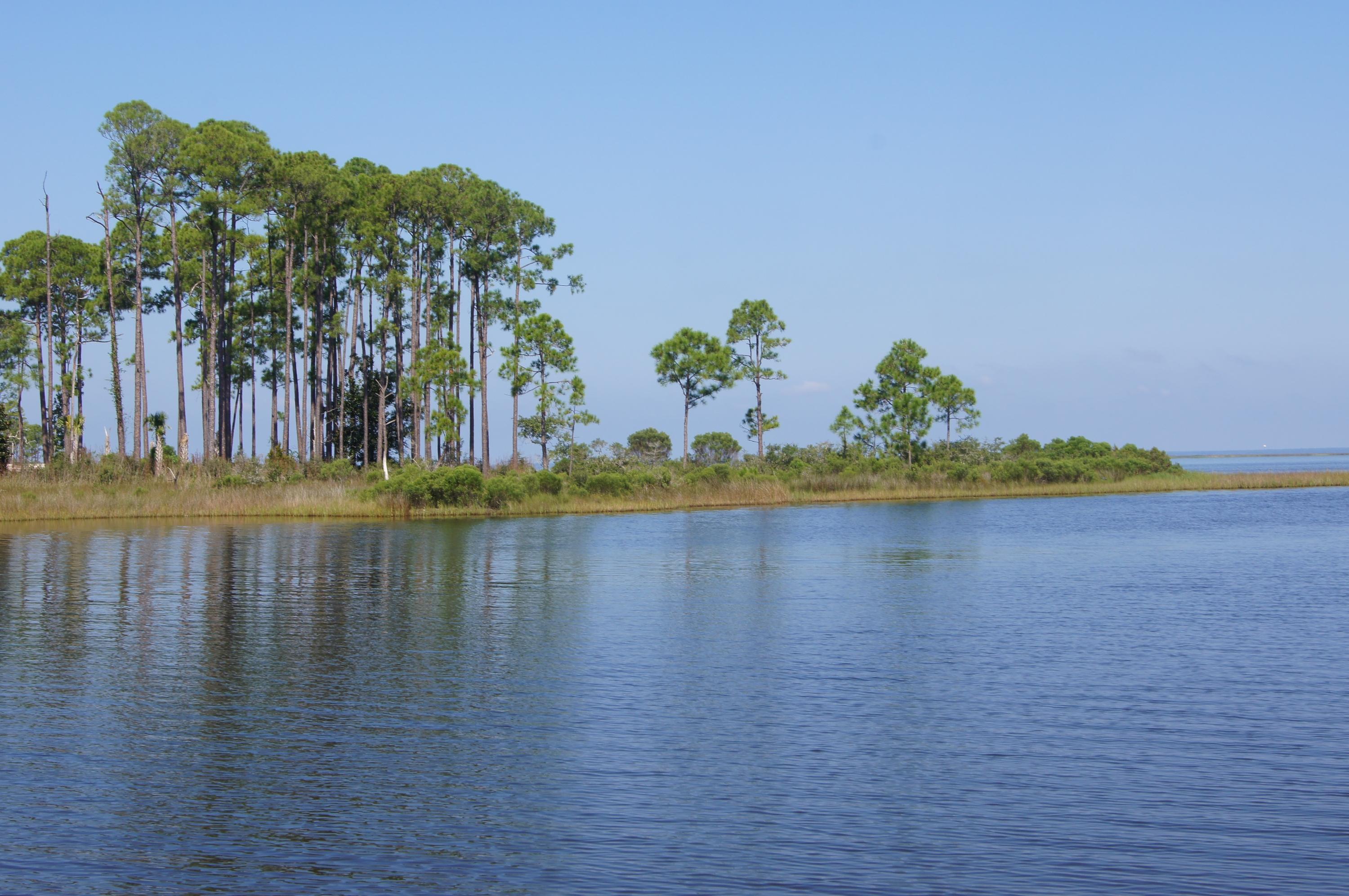 Lot 6 22nd Street Santa Rosa Beach, FL 32459 - Photo 12 of 22 Gallery Image 12
