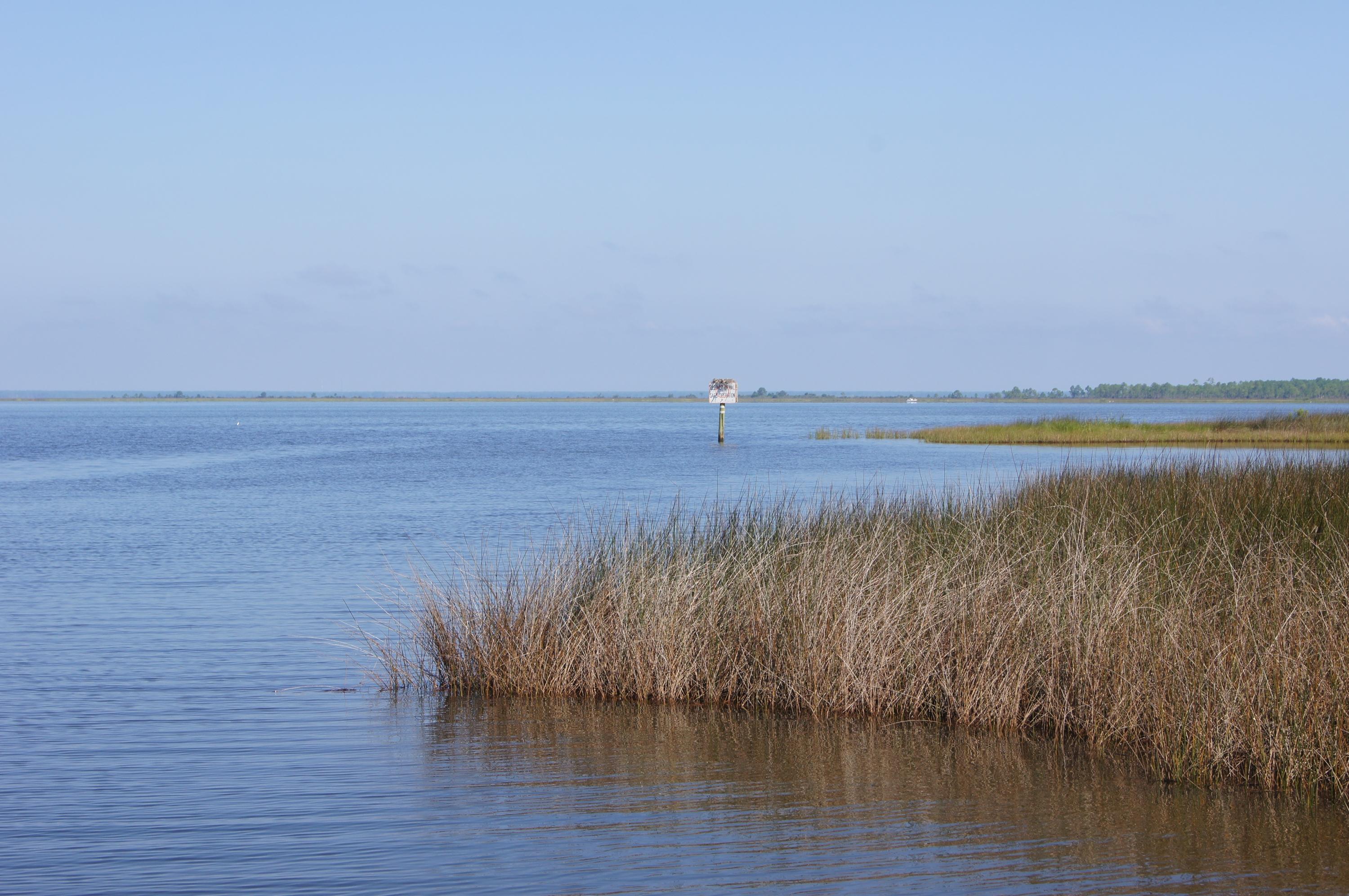 Lot 6 22nd Street Santa Rosa Beach, FL 32459 - Photo 14 of 22 Gallery Image 14